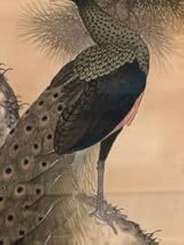 Amazon.co.jp: 模写掛軸R4-1103B田中松峰『松樹孔雀之図』着色